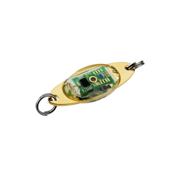 esca viscose fishing lure ESCA LURE LIGHT – Po Kee Tackle